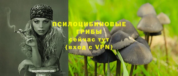 тгк Абинск