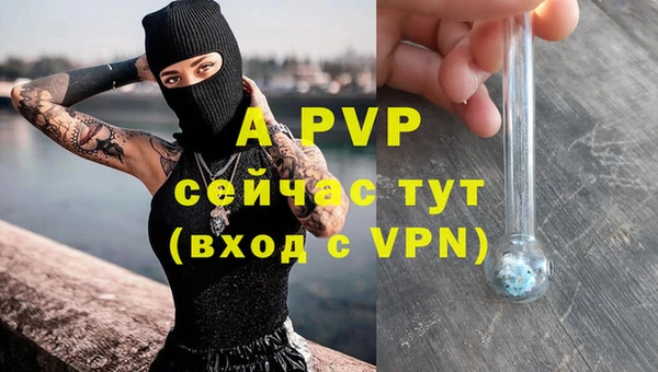 тгк Абинск