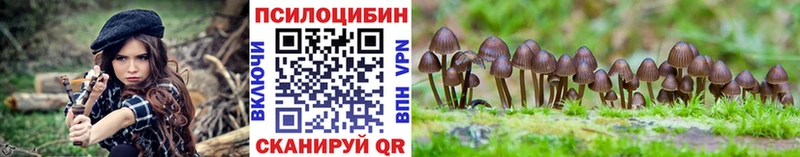 Псилоцибиновые грибы MAGIC MUSHROOMS  Саранск 